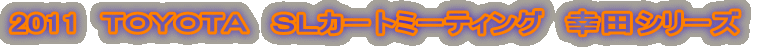 2011�@�s�n�x�n�s�`�@�r�k�J�[�g�~�[�e�B���O�@�K�c�V���[�Y�@